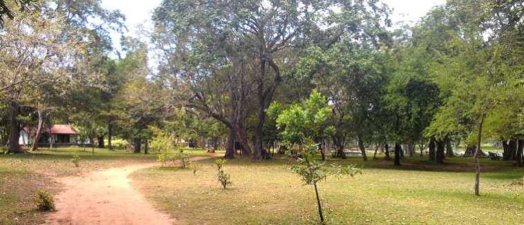 the grounds